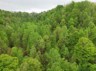 0 Saul Mud Lick Br, Buckhorn, KY 41721