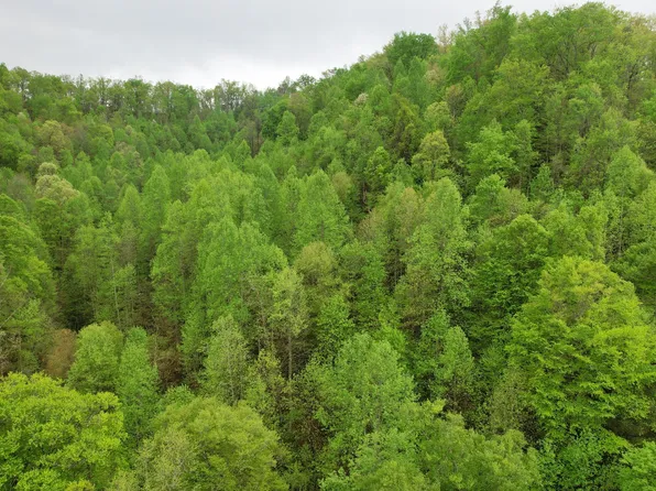 0 Saul Mud Lick Br, Buckhorn, KY 41721