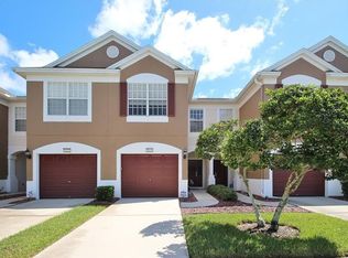 6819 Big Cypress Way, Tampa, FL 33625