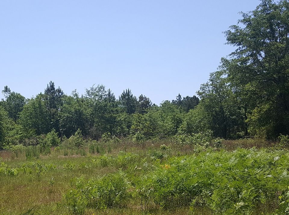 1st image of 2390 Shaw Hwy
