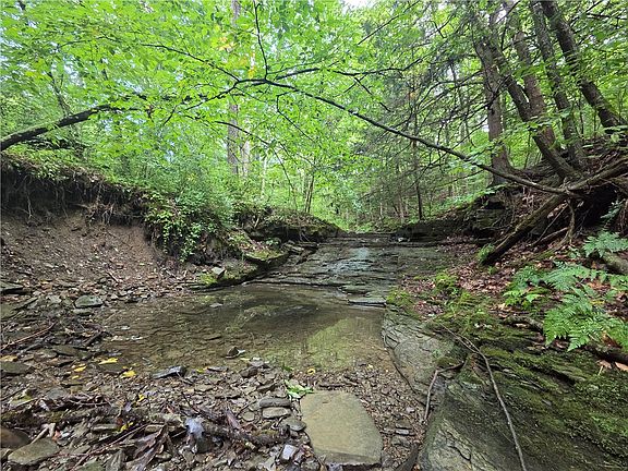 5th image of Bunnell Rd Lot 3