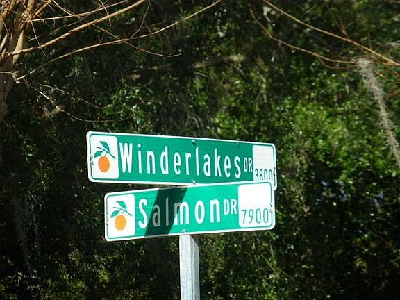 5th image of 3814 Winderlakes Dr