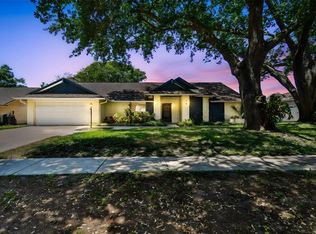 3041 Avalon Terrace Dr, Valrico, FL 33596