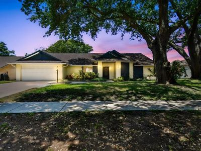 3041 Avalon Terrace Dr, Valrico, FL, 33596