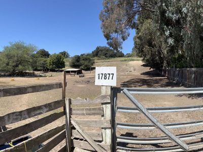 17877 Cross Rd, Salinas, CA, 93907