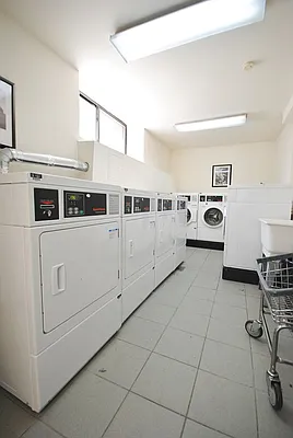 Rented by Bold New York | media 14