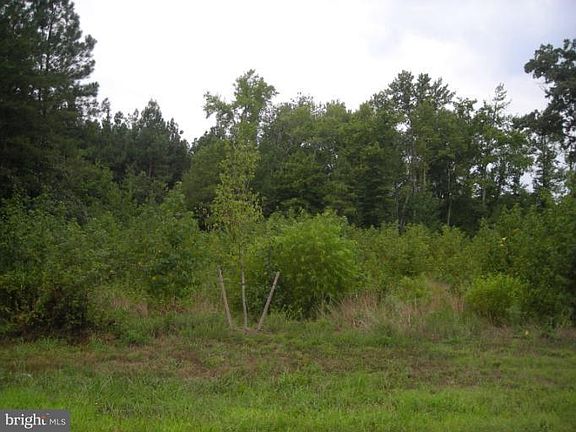 3rd image of 13571 Sugar Mill Ct