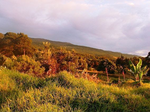 2 Acres in Kula