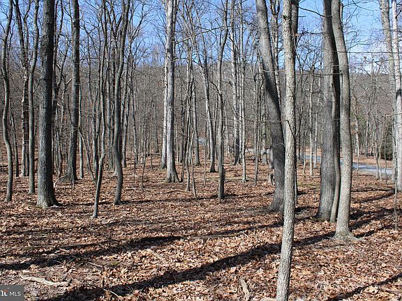 5th image of Sideling Mountain Trl