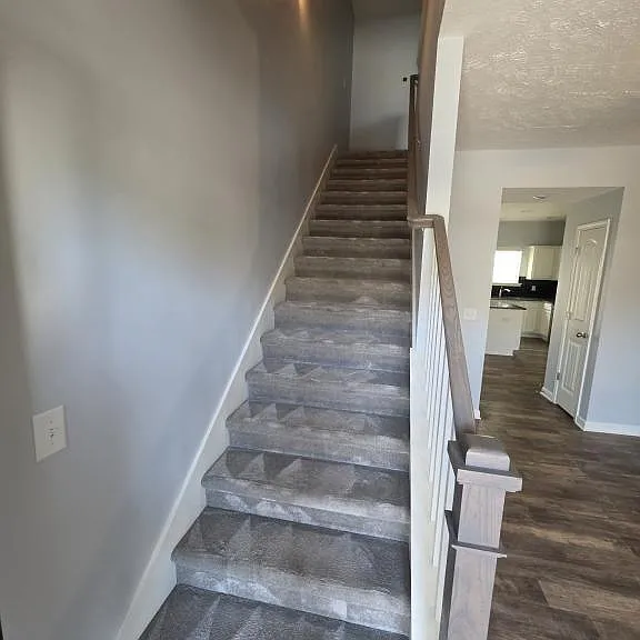 3707 Selina Dr — Photo 4