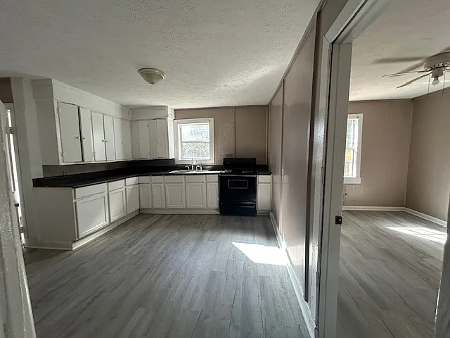 239 Byrnes Cir — Photo 3
