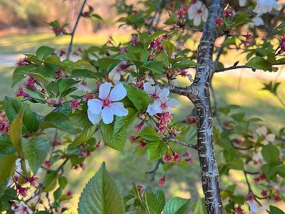 39th image of this home