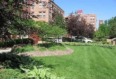 Association Maintained Front Yard