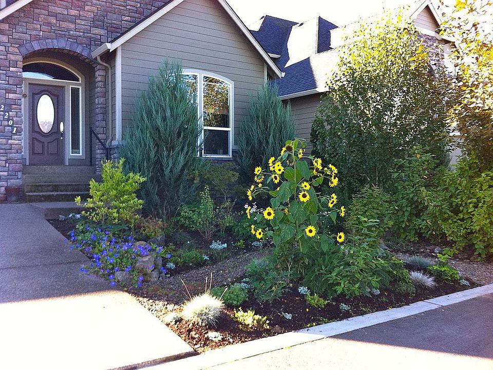 front yard NW native landscape