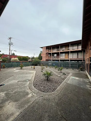170 Owens St S #209 Photo 1