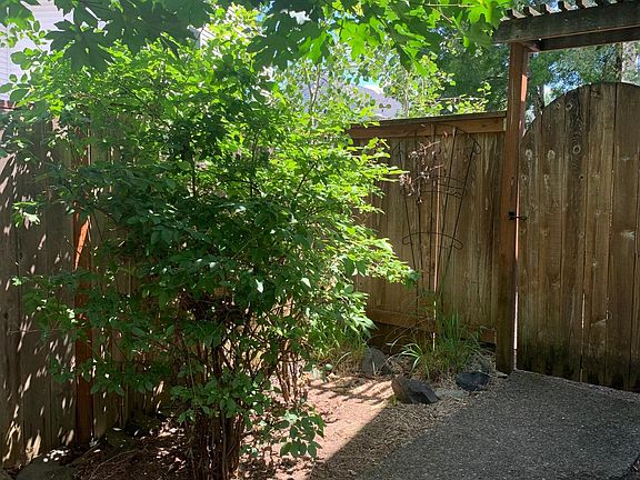 left side of house, entry into back yard, blue berry bushes