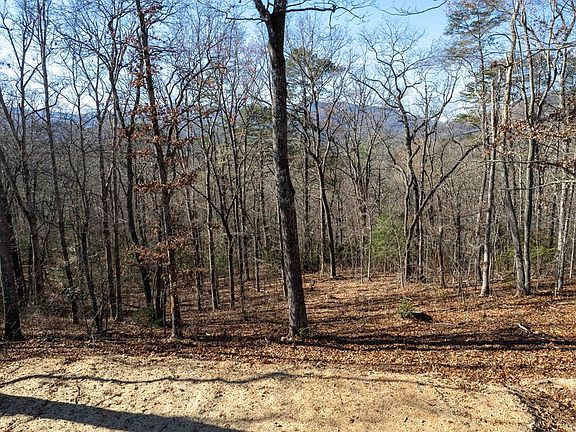 4th image of 3 Osprey Mountain Way
