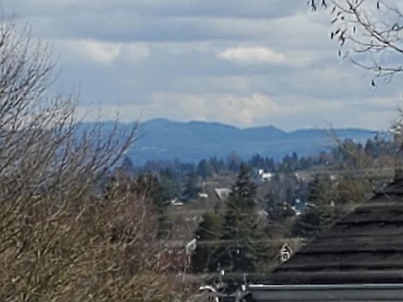 View from the dining room