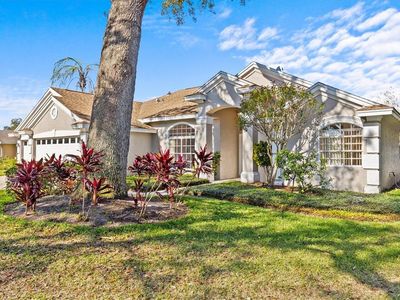 726 Hidden Lake Dr, Tarpon Springs, FL, 34689