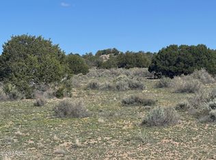 Lot 531 Woodland Valley Ranch -- #531, St Johns, AZ 85936