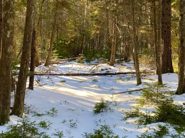 047C Tremont Road, Tremont, ME 04674