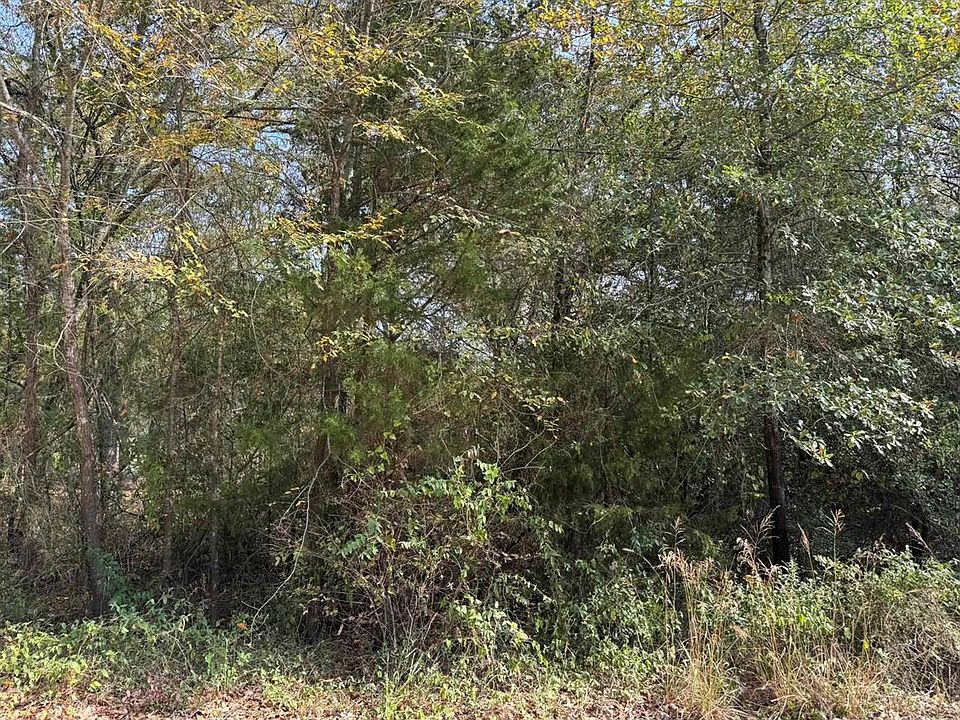 2nd image of 148 Buffalo Springs Rd