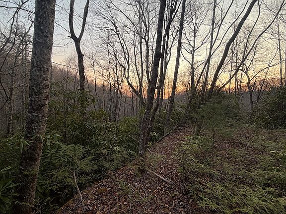 2nd image of Gold Creek Rd