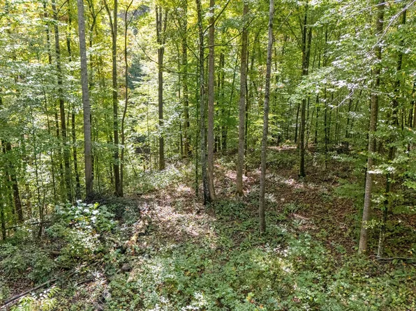 560 Prospect Rd, Luttrell, TN 37779