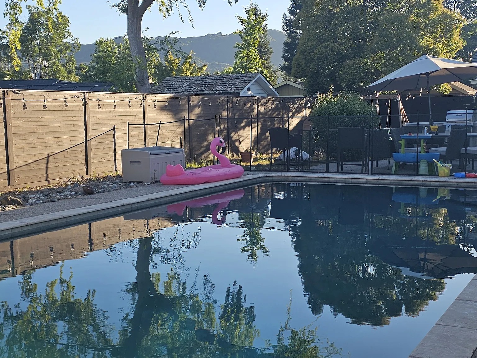 1 bed, 550 sqft, $2,900 — Photo 3