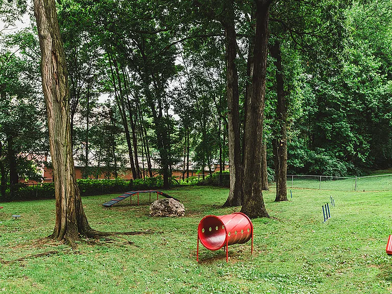 Convenient on site dark park with agility equipment for our furry residents