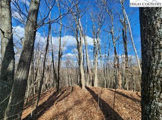 TBD Spur Cove Lane, Boone, NC 28607