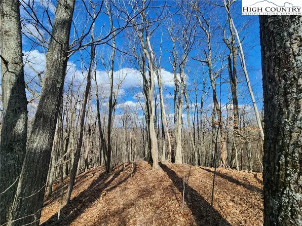 TBD Spur Cove Lane, Boone, NC 28607