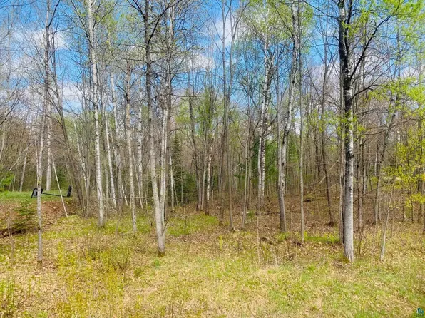 xxxx S County Rd F, Lake Nebagamon, WI 54849