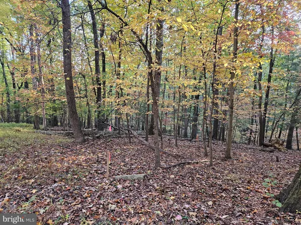 22-23 Dogwood Ln #24, Bluemont, VA 20135