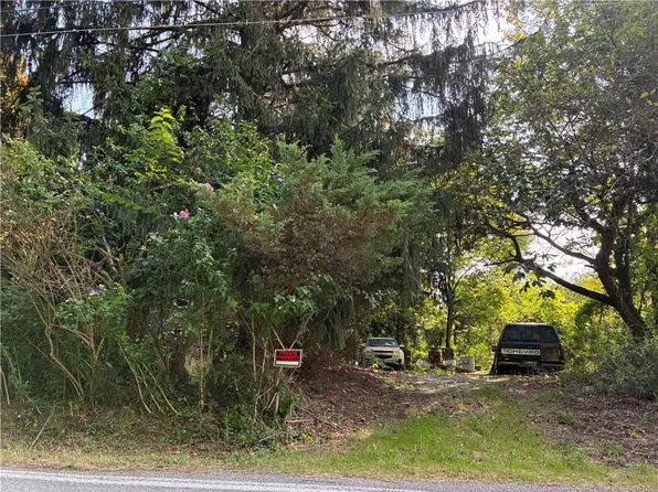 1949 White Cloud Rd, Leechburg, PA 15656