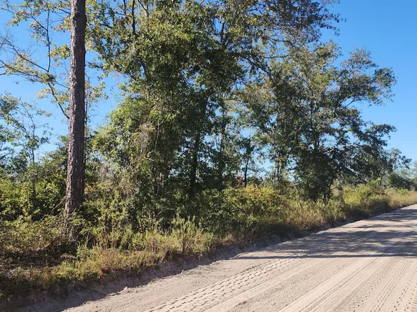 SE High Falls Rd, Lake City, FL 32025
