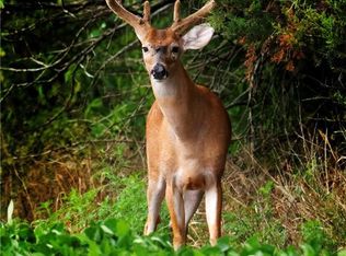 SW County Road 13007, Hume, MO 64752