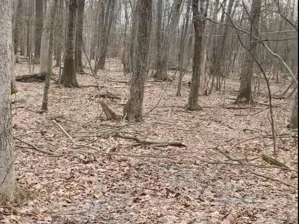 Traverse Dr #708, Henryville, PA 18332