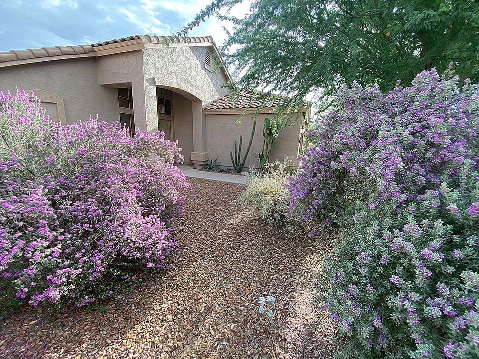 1st image of 147 E Palo Blanco Way