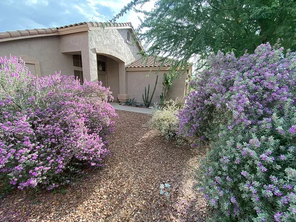 147 E Palo Blanco Way, Gilbert, AZ 85296