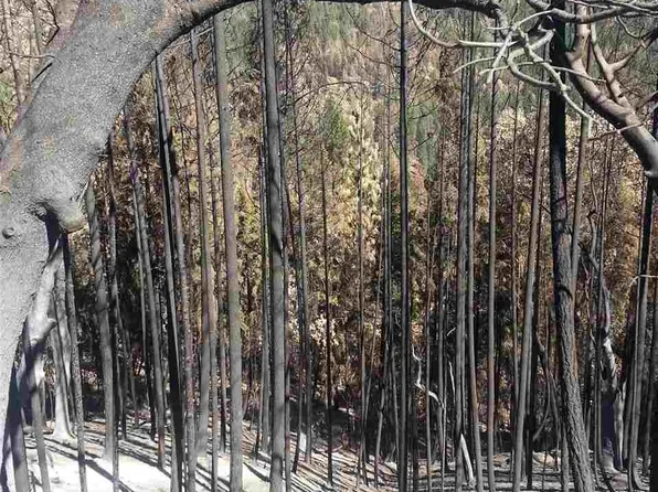 Middle Creek Rd, Klamath River, CA 96050