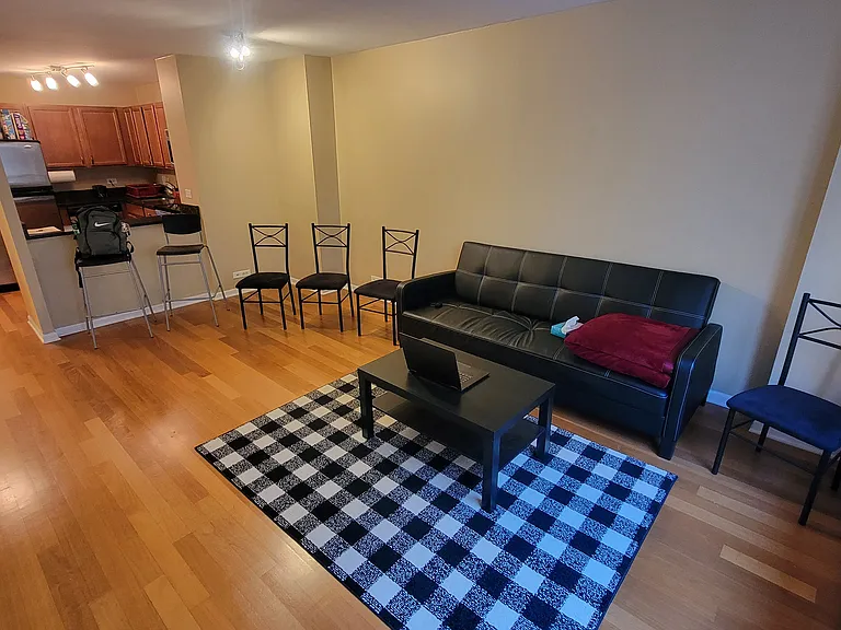 222 E Pearson St #1407 — Photo 17