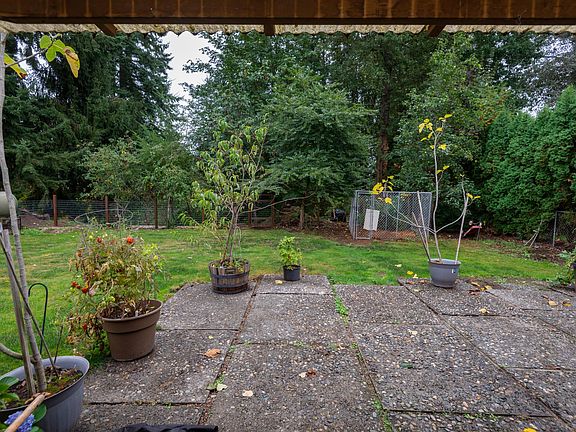 Fenced back yard from back porch