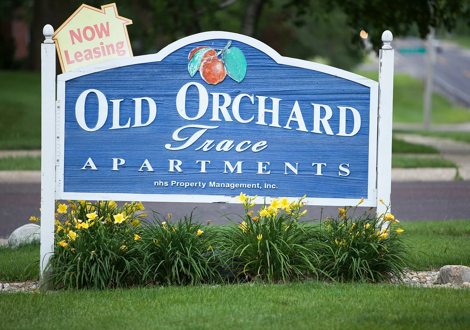 Old Orchard Trace Apartments — Photo 2