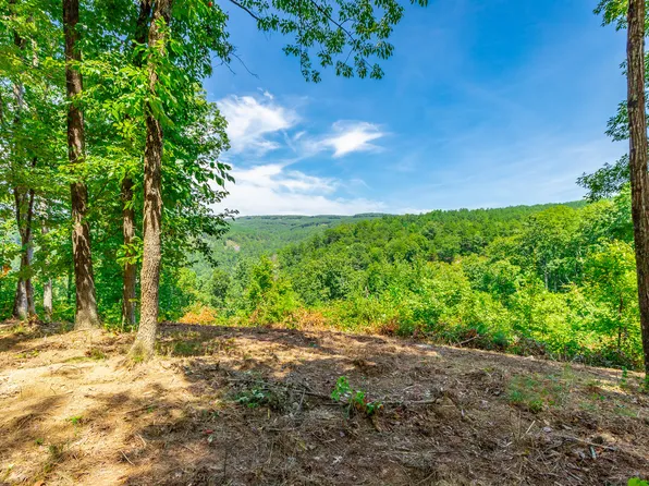 0 Birds Eye Way #1060, Guild, TN 37340