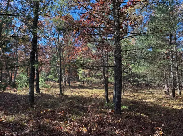 PARCEL 3 E County Line Rd, Free Soil, MI 49411