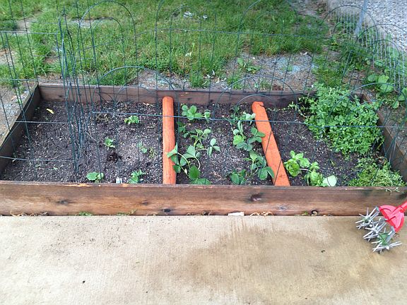 One of two garden beds