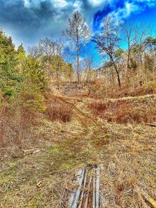 2516 Mount Olive Rd, Bidwell, OH, 45614