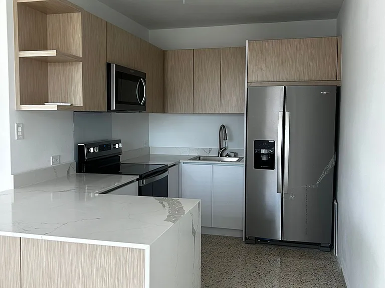 259 Calle Duffaut #2 — Photo 1