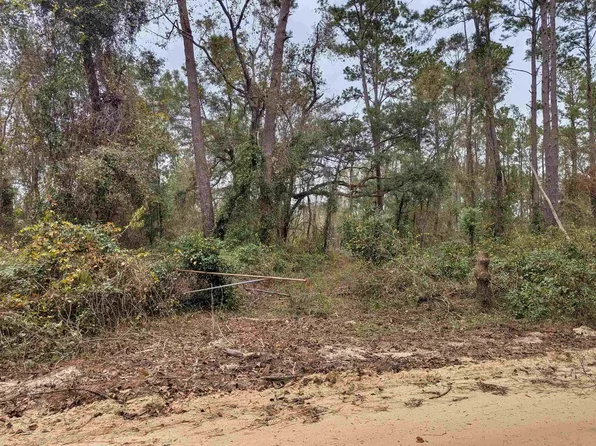 NW Radford Denson Rd, Greenville, FL 32331